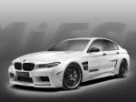 BMW Mi5Sion by Hamann 2013 года
